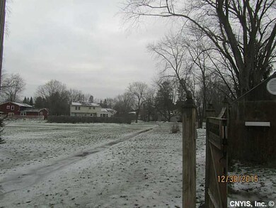 Other green area behind yard