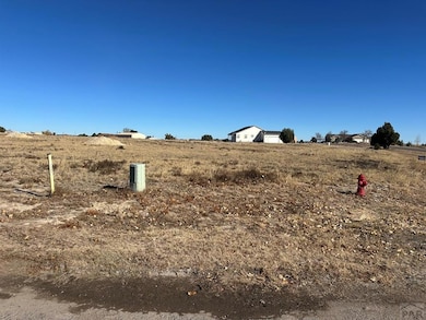 746 W Carrizo Springs Ave, Pueblo West, CO 81007 - photo 5