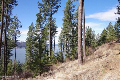 Lot45 Blk3 Promontory, Harrison, ID 83833 - photo 6