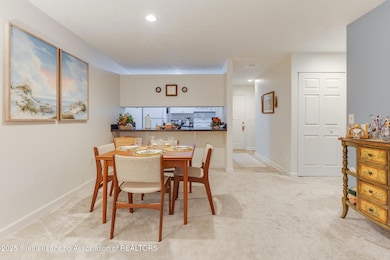 1571 W Pond Dr unit 20, Okemos, MI 48864 - photo 4