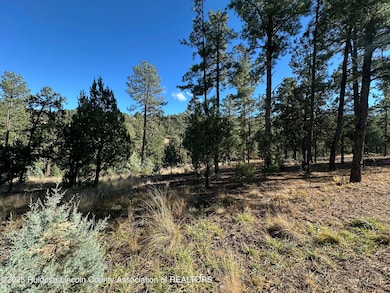 Lot 152 Del Monte Dr, Alto, NM 88312 - photo 4