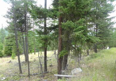 Nhn Spring Hill Rd, Kila, MT 59920 - photo 2