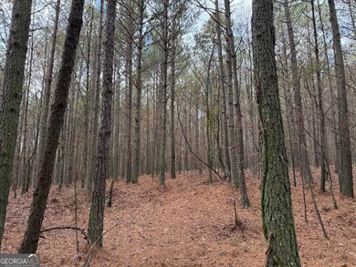 0 Branson Crossing Rd unit 2, Kingston, GA 30145 - photo 4