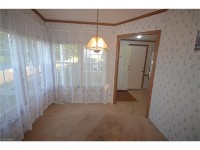 17 Schuberts Aly, Olmsted Township, OH 44138 - photo 4