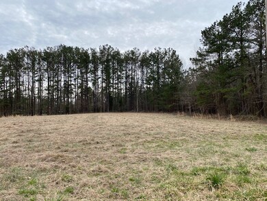 0 Craig Mill Rd unit B2 46919, Lunenburg, VA 23944 - photo 5