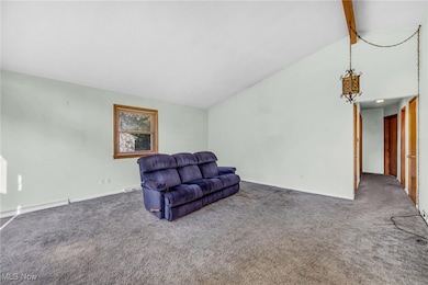 2863 Burnside St, Akron, OH 44312 - photo 5