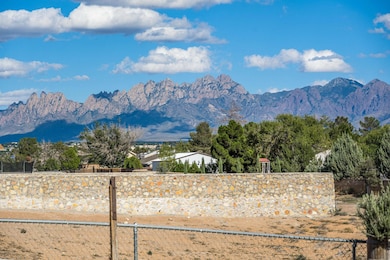 1100 Crossley Ln, Las Cruces, NM 88005 - photo 7