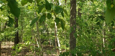 0 Kevin Ln unit 1174657, Bella Vista, AR 72715 - photo 7