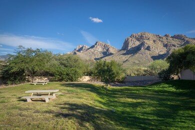 Community Picnic Area