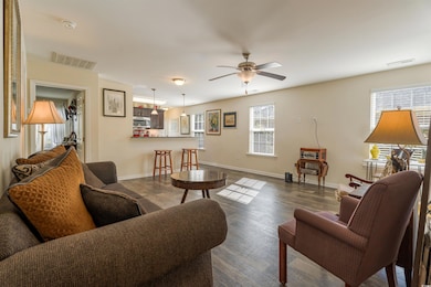 Living room featuring wood finished floors and a ceiling fan