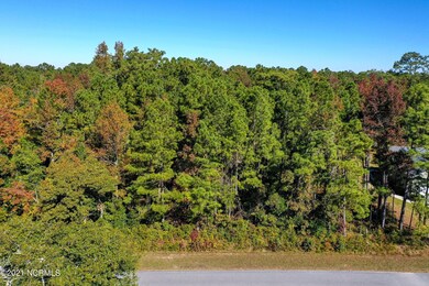 28 and 29 Atkinson Loop - Aerials_3