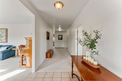 56-web-or-mls-DSC09969