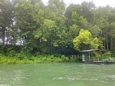 471 Rivercrest Dr, Heber Springs, AR 72543 - photo 5