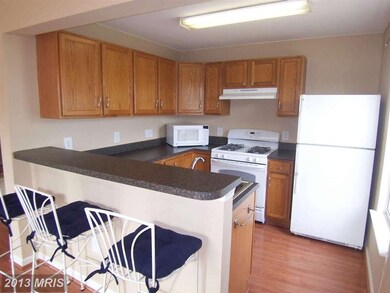 8805 Stoneridge Cir unit 102, Pikesville, MD 21208 - photo 5