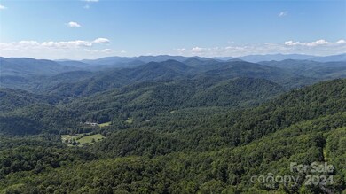 9999 Still Spring Rd unit Lot 4, Black Mountain, NC 28711 - photo 4