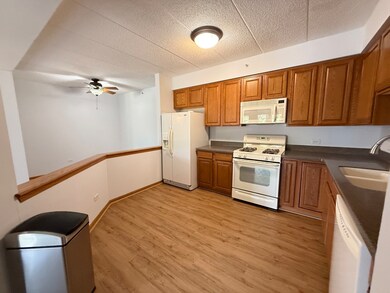 201 W Brush Hill Rd unit 103, Elmhurst, IL 60126 - photo 5