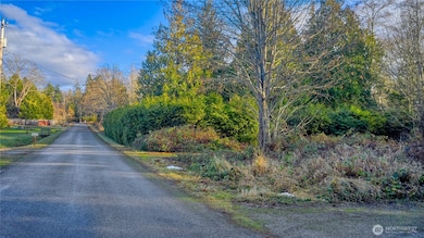 230 Iris Blvd, Point Roberts, WA 98281 - photo 4