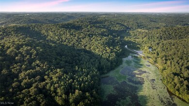 36900 Lower Clearfork Rd, Cadiz, OH 43907 - photo 6
