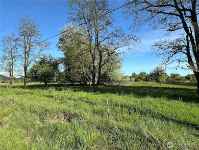 0 Pe Ell McDonald Rd unit NWM2378355, Chehalis, WA 98532 - photo 4