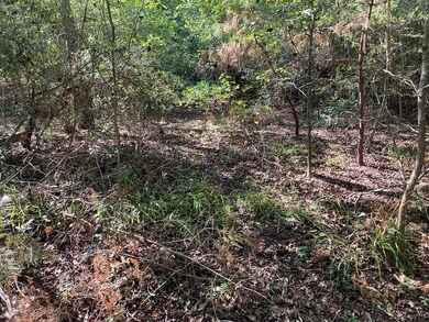 813 E Brenda Ln, Magnolia, TX 77354 - photo 4