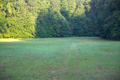4000 W Fork Rd, Saulsbury, TN 38067 - photo 5