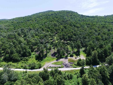 3410 Us Route 4 unit Lot 1, Mendon, VT 05701 - photo 3