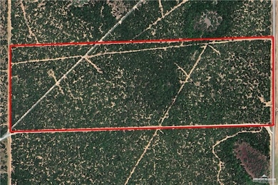 0 Brushline Rd, Edinburg, TX 78542 - photo 4