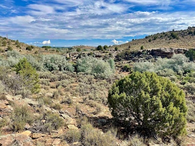 TRACT 12 N Broadway, Cortez, CO 81321 - photo 3