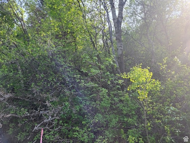 6151 Creekside Dr unit 17, Mountain Green, UT 84050 - photo 6