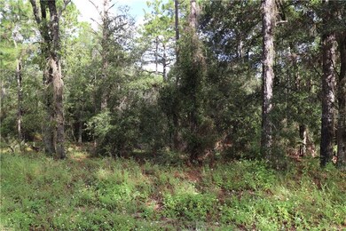 00 SW 211th Cir, Dunnellon, FL 34431 - photo 6