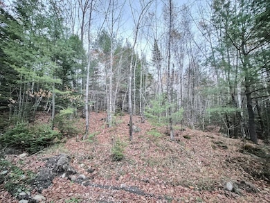 20251023_174145_result