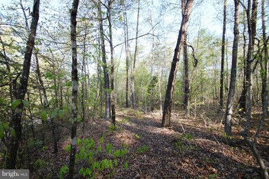 0 Roberts Ln unit 1003479014, Rixeyville, VA 22737 - photo 2