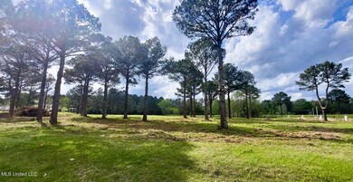 0 Bozeman Rd unit 4115697, Madison, MS 39110 - photo 3