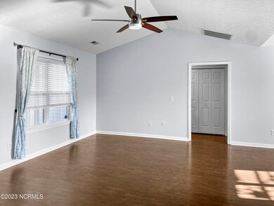 213_Red_Carnation00006_single