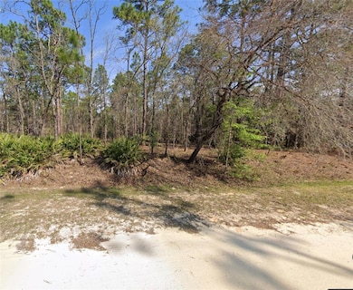 TBA SW 78 Place, Dunnellon, FL 34432 - photo 2
