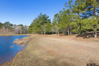 10938 County Road 233, Arp, TX 75750 - photo 6