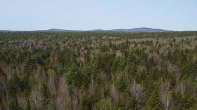 DJI_0059