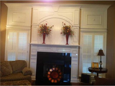 Custom Fireplace