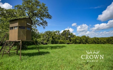 Tbd Fm 908 (+ -1 unit 57 acres, Caldwell, TX 77836 - photo 2