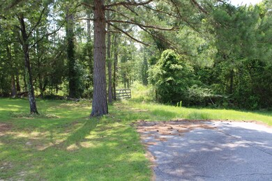 0 N Old Us Rd unit 23669197, Marianna, FL 32447 - photo 5