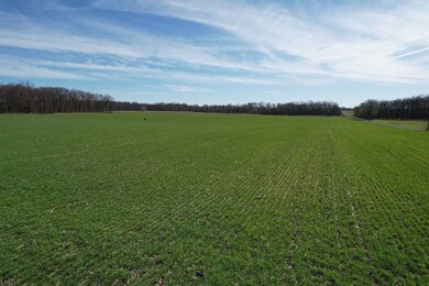 Off Pintail Rd unit Lot WP002, Tamaroa, IL 62888 - photo 2