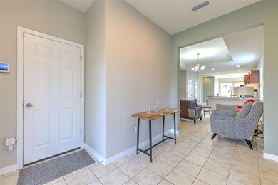 6435 Yellow Buckeye Dr, Riverview, FL 33578 - photo 5