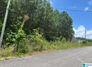 23 Acres Truman Aldrich Pkwy unit 23 ACRES, West Blocton, AL 35184 - photo 5