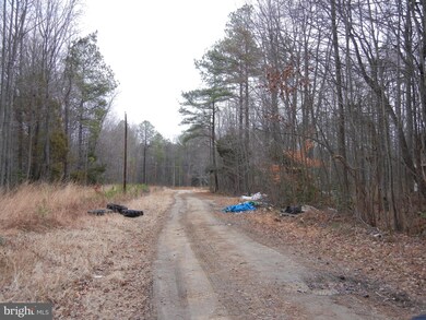 0 Pinewood Ln unit 1000025877, Colonial Beach, VA 22443 - photo 5