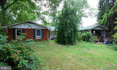 703 Lincoln Ave, Falls Church, VA 22046 - photo 3