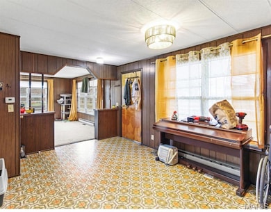 3450 Myrtle Ln, Festus, MO 63028 - photo 7