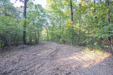 ground photos-17 T7-a