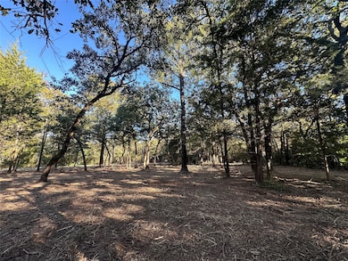 TR 2 Cr 219, Buffalo, TX 75831 - photo 7