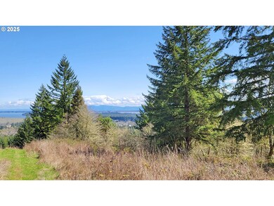 0 Bolton Hill Rd unit 315399452, Veneta, Or, OR 97487 - photo 3
