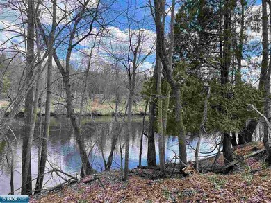 TBD Highway 29, Floodwood, MN 55736 - photo 3